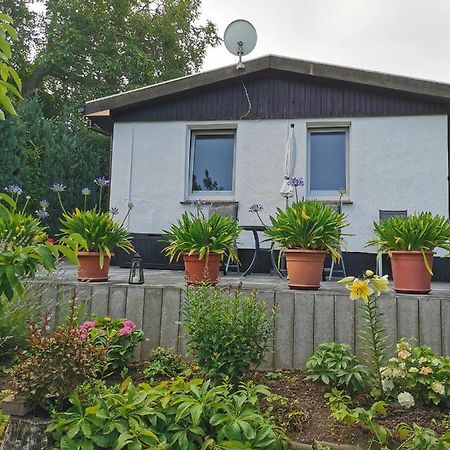 Ferienhaus Appold Wernigerode Ngoại thất bức ảnh