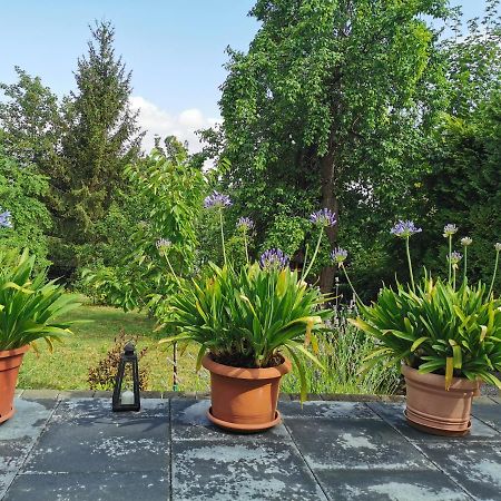 Ferienhaus Appold Wernigerode Ngoại thất bức ảnh