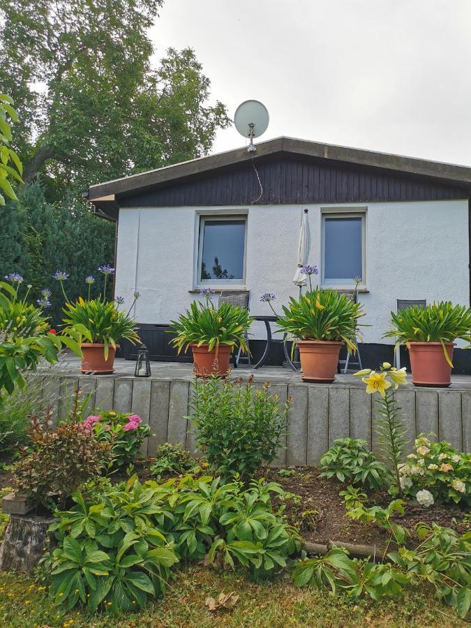 Ferienhaus Appold Wernigerode Ngoại thất bức ảnh