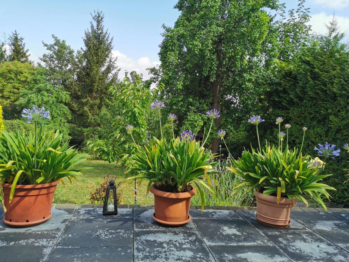 Ferienhaus Appold Wernigerode Ngoại thất bức ảnh